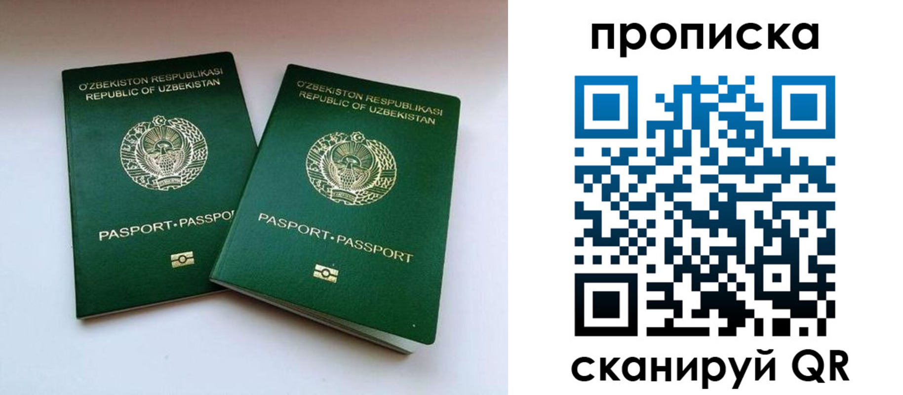 прописка поиск в Находке